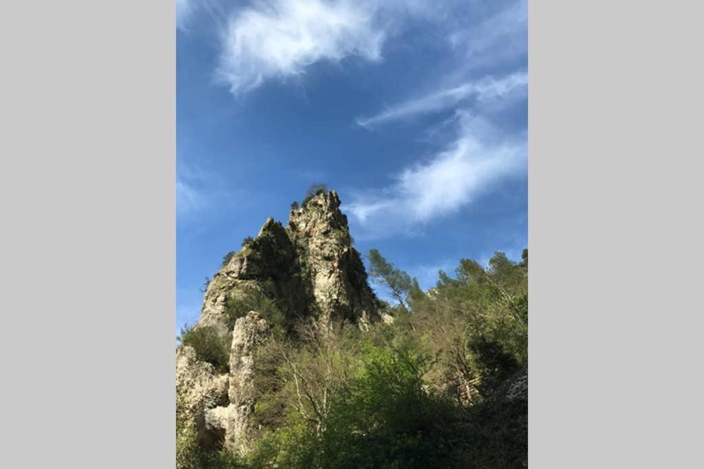 فيلا La Mansio LʼIsle-sur-la-Sorgue المظهر الخارجي الصورة