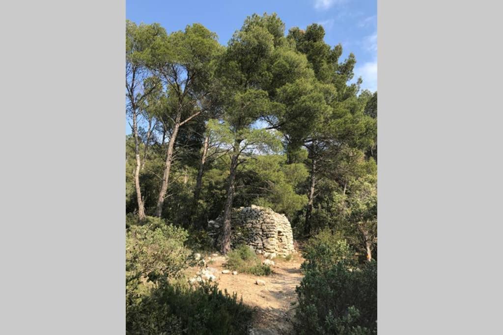 فيلا La Mansio LʼIsle-sur-la-Sorgue المظهر الخارجي الصورة