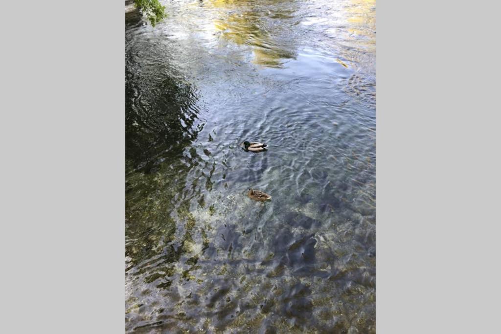 فيلا La Mansio LʼIsle-sur-la-Sorgue المظهر الخارجي الصورة